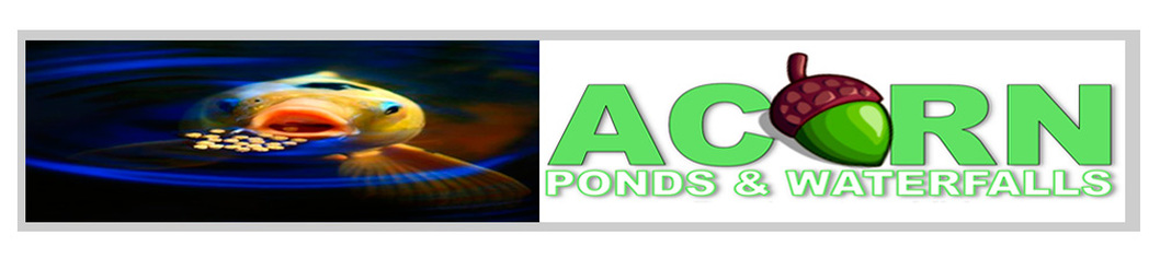 Pond Services in Greece, Pittsford, Webster & Monroe County New York (NY)-Acorn Ponds